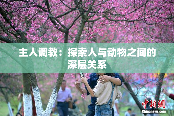 主人调教：探索人与动物之间的深层关系