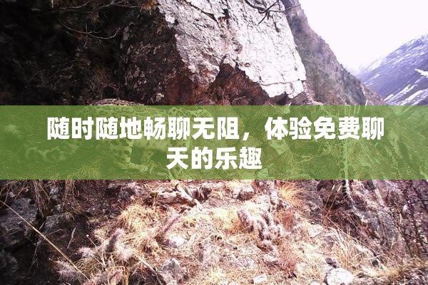随时随地畅聊无阻，体验免费聊天的乐趣