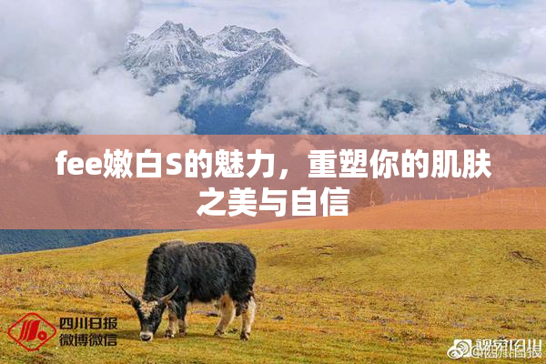 fee嫩白S的魅力，重塑你的肌肤之美与自信