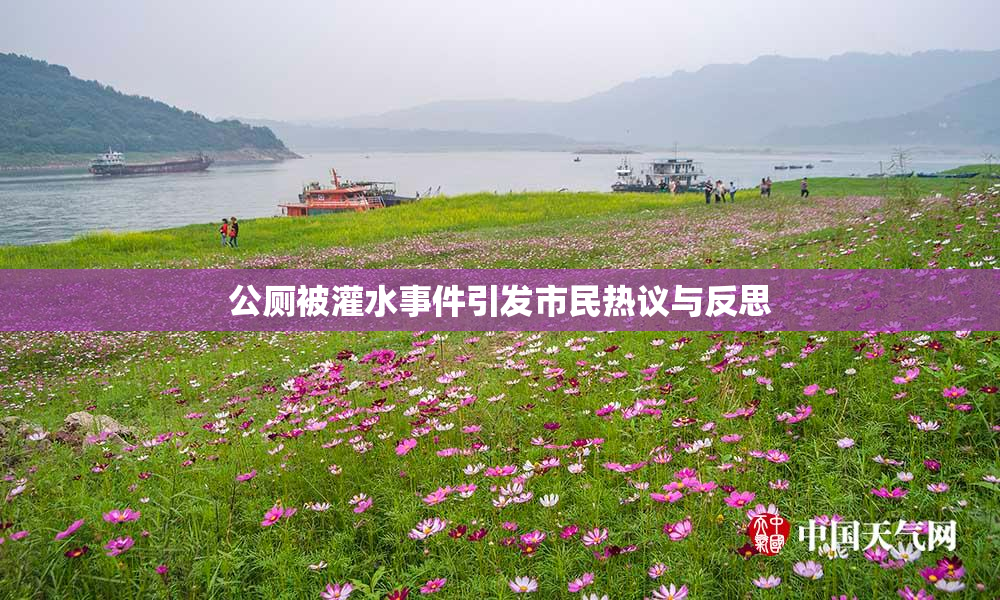 公厕被灌水事件引发市民热议与反思