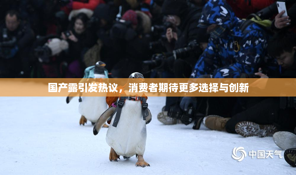 国产露引发热议，消费者期待更多选择与创新