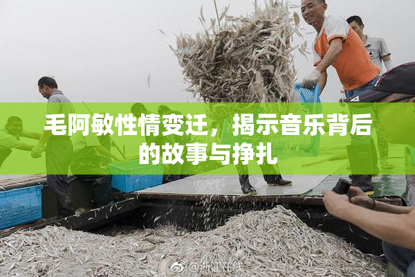 毛阿敏性情变迁，揭示音乐背后的故事与挣扎