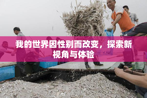 我的世界因性别而改变，探索新视角与体验