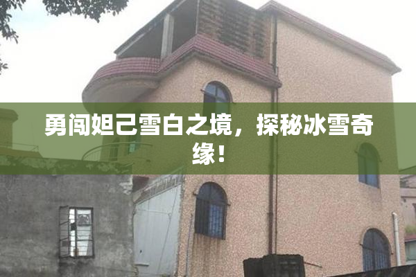 勇闯妲己雪白之境，探秘冰雪奇缘！