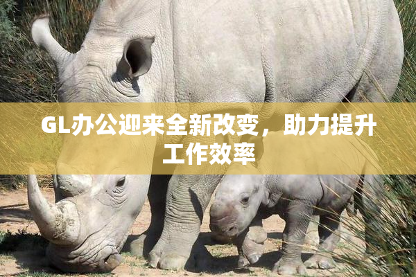 GL办公迎来全新改变，助力提升工作效率