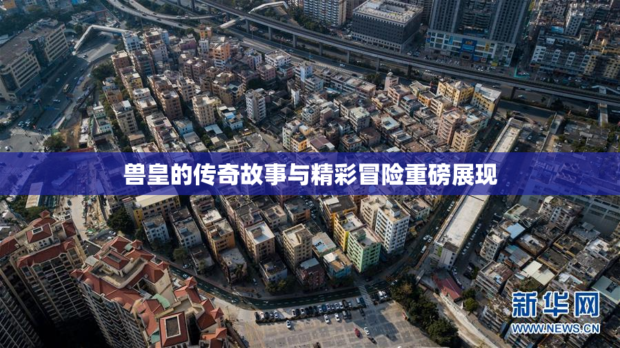 兽皇的传奇故事与精彩冒险重磅展现