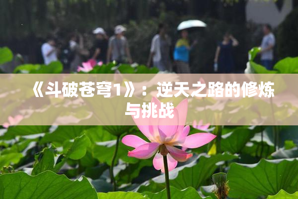 《斗破苍穹1》：逆天之路的修炼与挑战