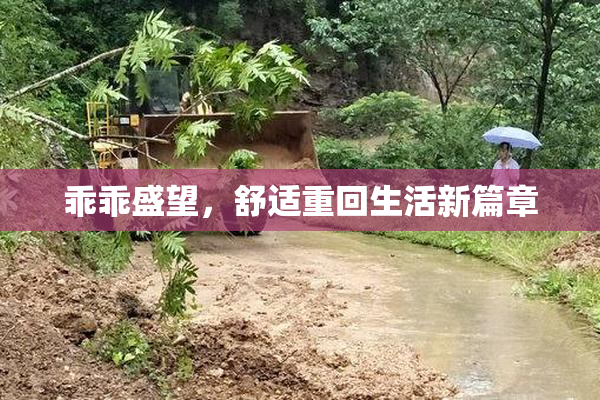 乖乖盛望，舒适重回生活新篇章