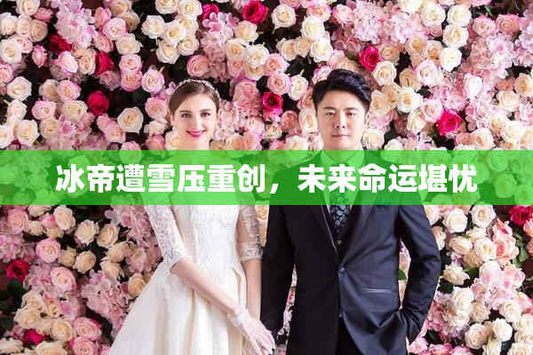 冰帝遭雪压重创，未来命运堪忧
