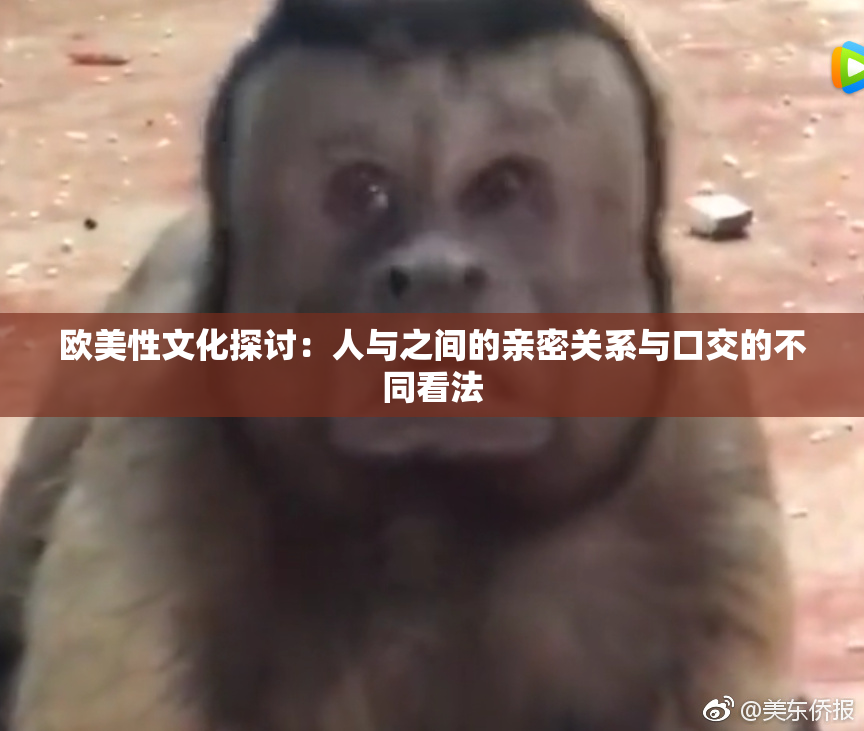 欧美性文化探讨：人与之间的亲密关系与口交的不同看法