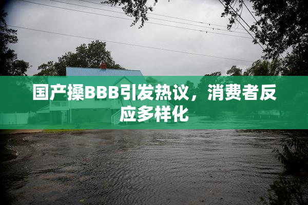 国产搡BBB引发热议，消费者反应多样化