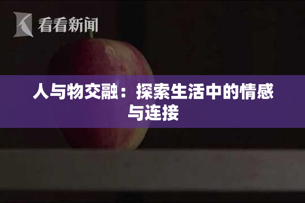 人与物交融：探索生活中的情感与连接