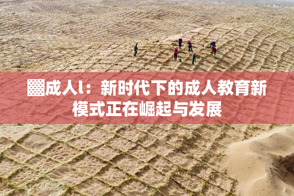 ▓成人l：新时代下的成人教育新模式正在崛起与发展