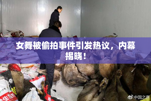 女舞被偷拍事件引发热议，内幕揭晓！