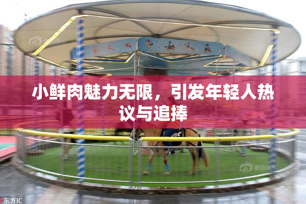 小鲜肉魅力无限，引发年轻人热议与追捧