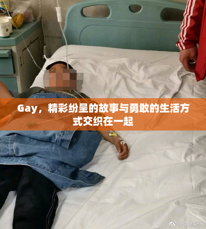 Gay，精彩纷呈的故事与勇敢的生活方式交织在一起
