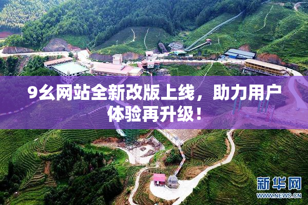 9幺网站全新改版上线，助力用户体验再升级！