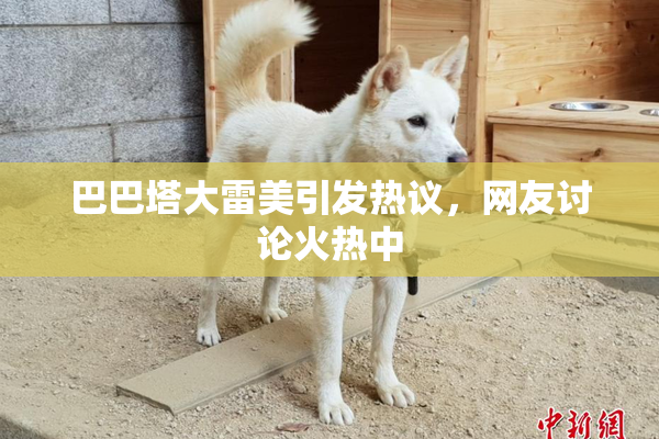 巴巴塔大雷美引发热议，网友讨论火热中