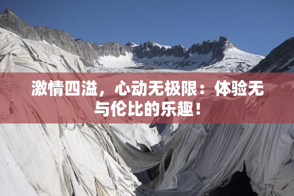 激情四溢，心动无极限：体验无与伦比的乐趣！