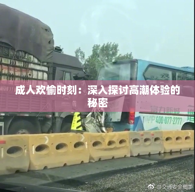 成人欢愉时刻：深入探讨高潮体验的秘密
