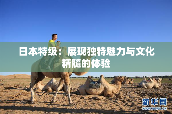 日本特级：展现独特魅力与文化精髓的体验