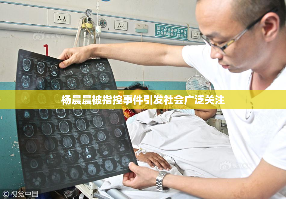 杨晨晨被指控事件引发社会广泛关注