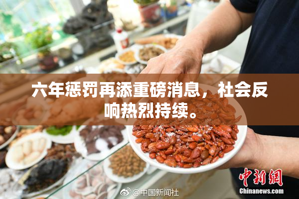 六年惩罚再添重磅消息，社会反响热烈持续。