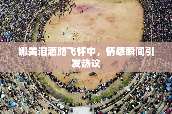 娜美泪洒路飞怀中，情感瞬间引发热议