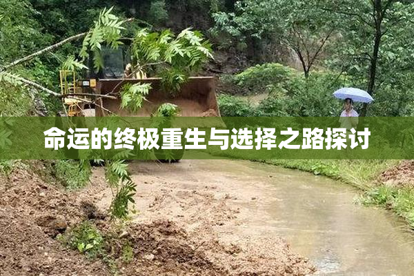 命运的终极重生与选择之路探讨