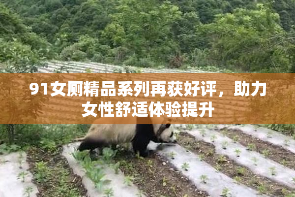 91女厕精品系列再获好评，助力女性舒适体验提升