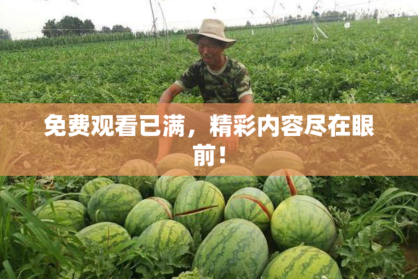 免费观看已满，精彩内容尽在眼前！