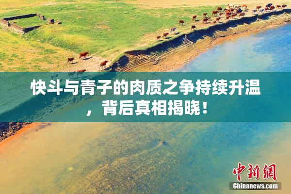 快斗与青子的肉质之争持续升温，背后真相揭晓！