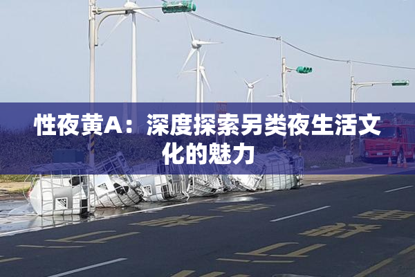 性夜黄A：深度探索另类夜生活文化的魅力