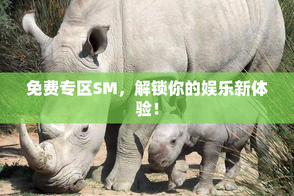 免费专区SM，解锁你的娱乐新体验！