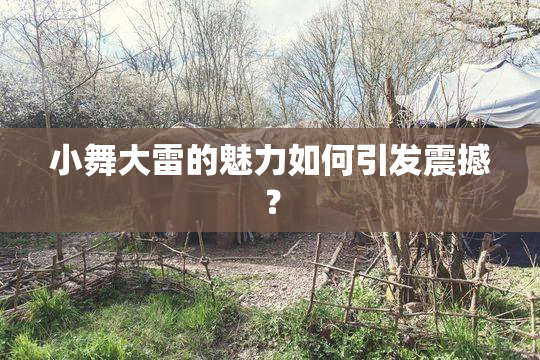小舞大雷的魅力如何引发震撼？