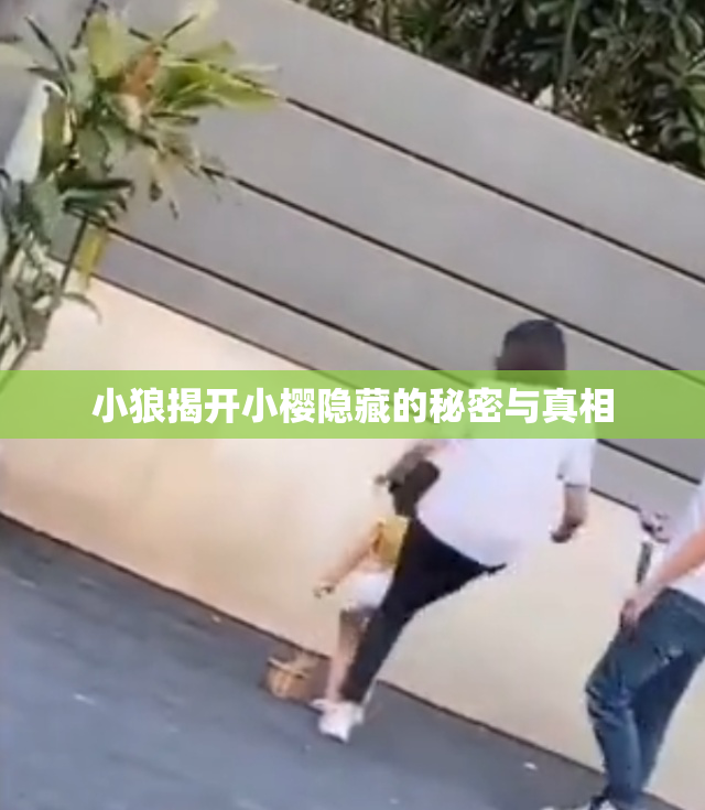 小狼揭开小樱隐藏的秘密与真相