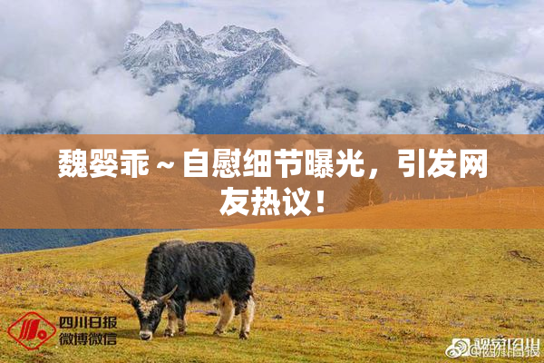 魏婴乖～自慰细节曝光，引发网友热议！