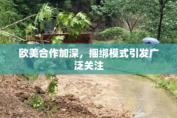 欧美合作加深，捆绑模式引发广泛关注