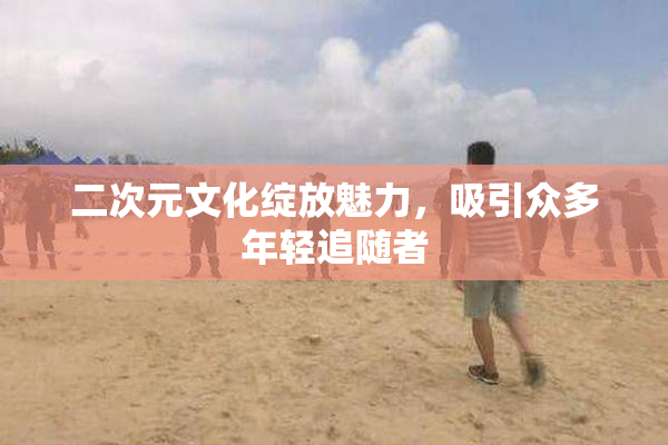 二次元文化绽放魅力，吸引众多年轻追随者
