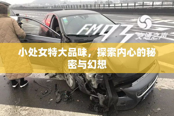 小处女特大品味，探索内心的秘密与幻想