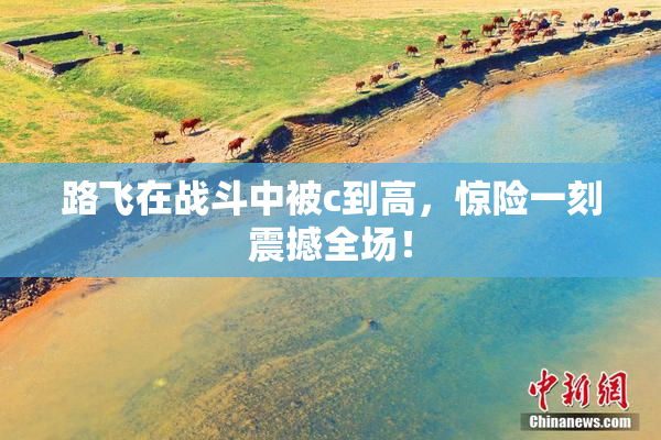 路飞在战斗中被c到高，惊险一刻震撼全场！