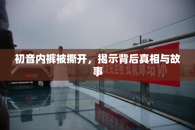 初音内裤被撕开，揭示背后真相与故事