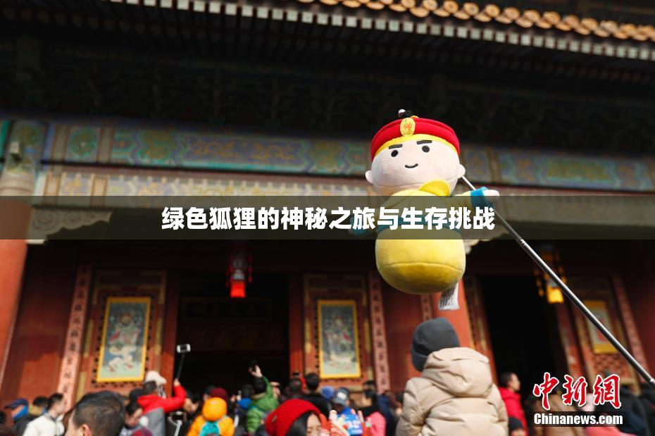 绿色狐狸的神秘之旅与生存挑战