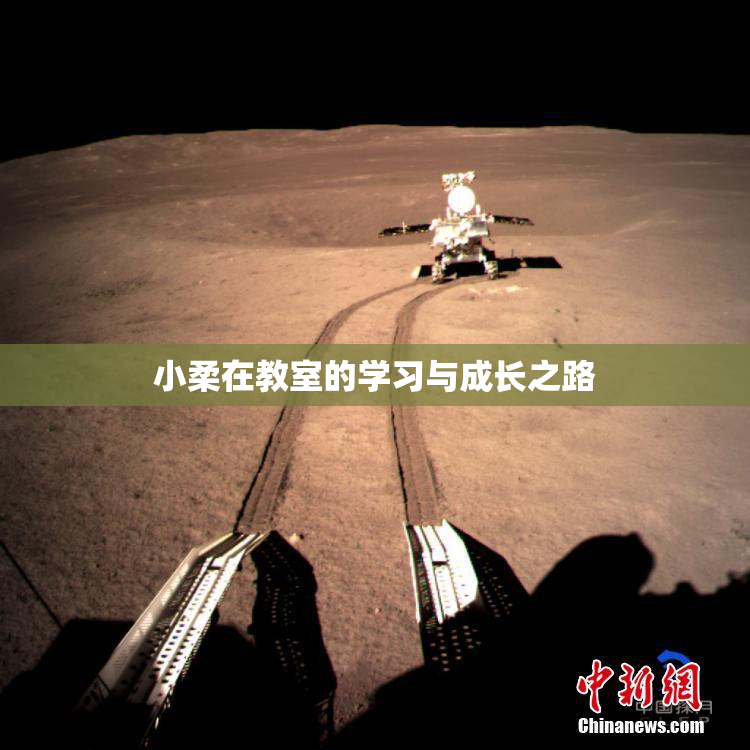 小柔在教室的学习与成长之路