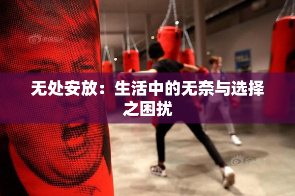 无处安放：生活中的无奈与选择之困扰