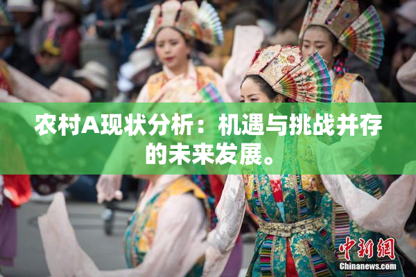 农村A现状分析：机遇与挑战并存的未来发展。