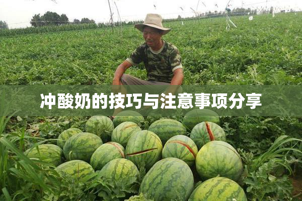 冲酸奶的技巧与注意事项分享