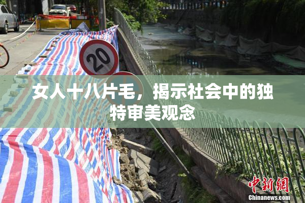 女人十八片毛，揭示社会中的独特审美观念