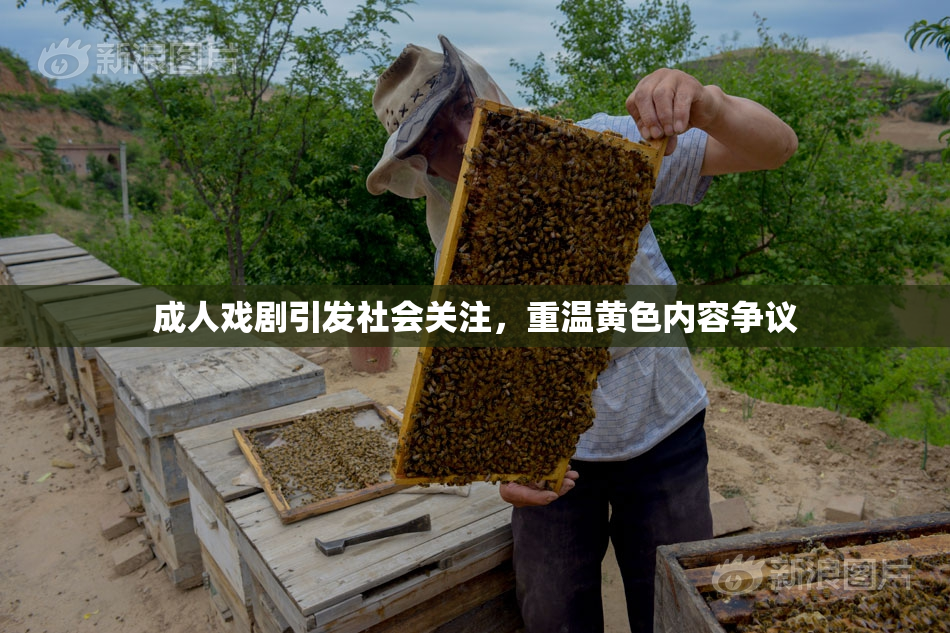 成人戏剧引发社会关注，重温黄色内容争议