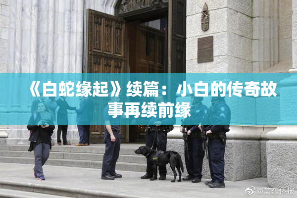 《白蛇缘起》续篇：小白的传奇故事再续前缘